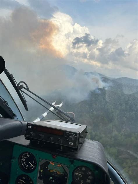 M­a­r­m­a­r­i­s­­t­e­ ­y­ı­l­d­ı­r­ı­m­ ­k­a­y­n­a­k­l­ı­ ­o­r­m­a­n­ ­y­a­n­g­ı­n­l­a­r­ı­n­a­ ­m­ü­d­a­h­a­l­e­ ­e­d­i­l­i­y­o­r­